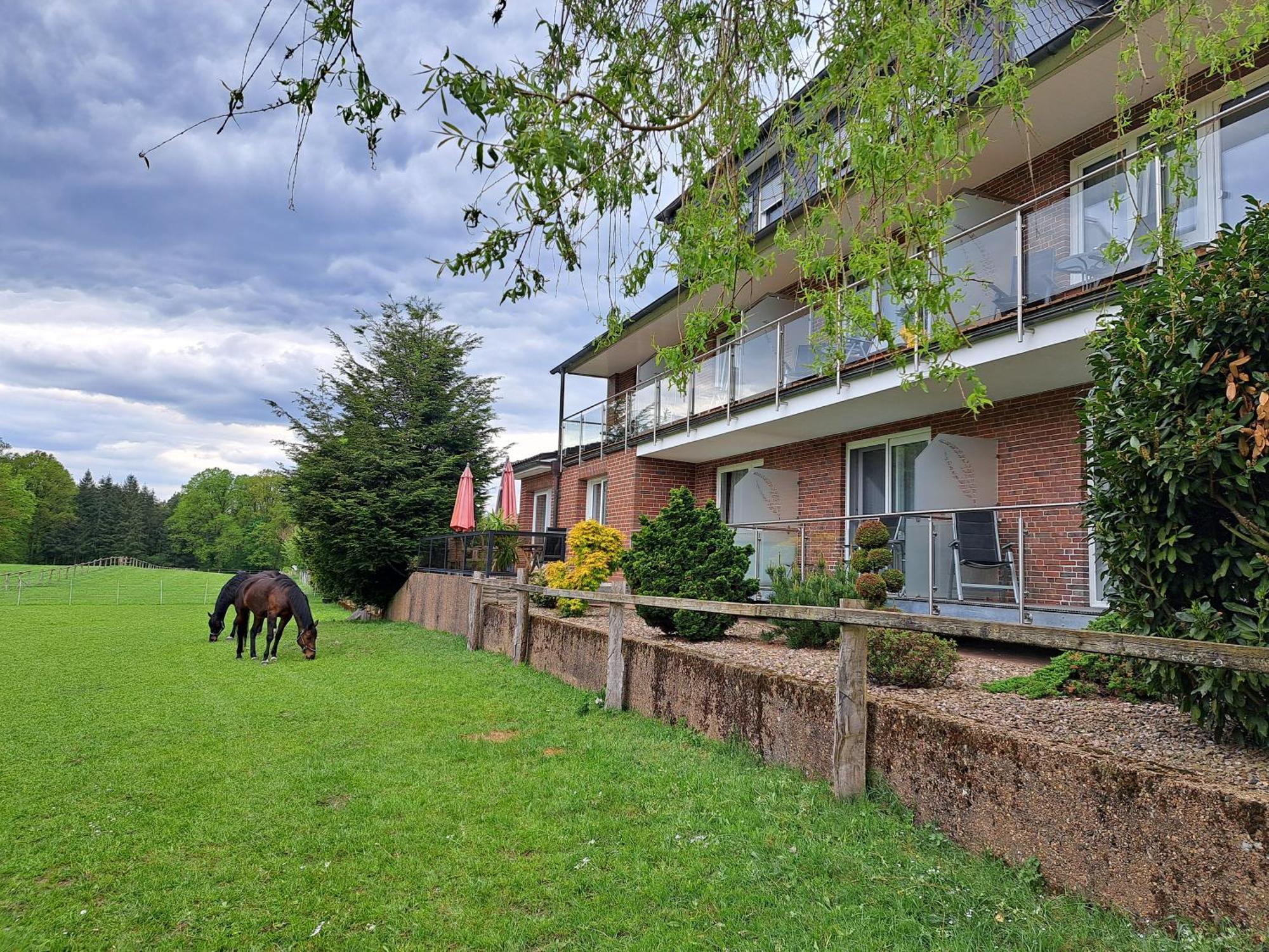 Dat Luette Heidehotel Funk - Garni Bispingen Extérieur photo